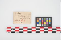 Etikett zu Bronzekegelkopfnadel (NHMW-PRAE-023660)